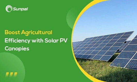 Image of solar PV canopies in a field, promoting agricultural efficiency.